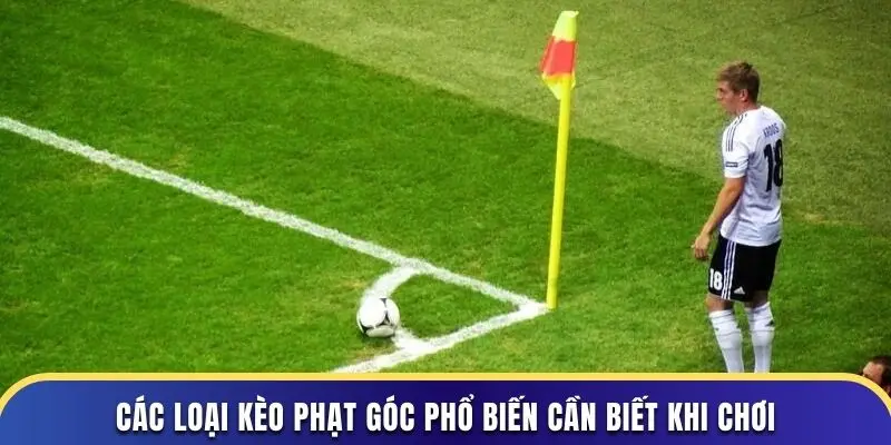 Các loại kèo phạt góc phổ biến cần biết khi chơi